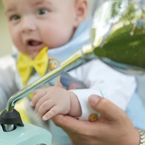 509836000_18307052758244522_8182643413130439886_n.